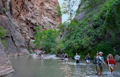 Ultimate Zion National Park Guide: Best Hikes, Lodging & Essential Travel Tips