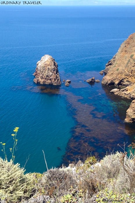 Ultimate Guide to Camping in California s Channel Islands National Park: Expert Tips from Real Adventurers