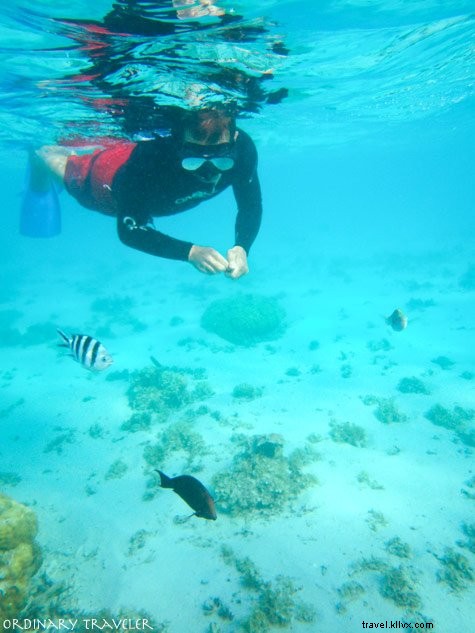 Mauritius Travel Guide: Best Time to Visit, How to Get There & Where to Stay