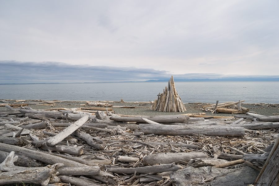 Ultimate Guide: Top Things to Do on San Juan Island, Washington – Kayaking, Whale Watching & More