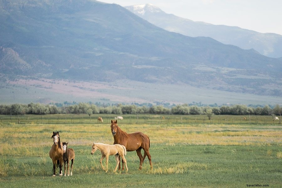 Ultimate Packing Guide for Utah s National Parks: Essential Gear for Every Adventure