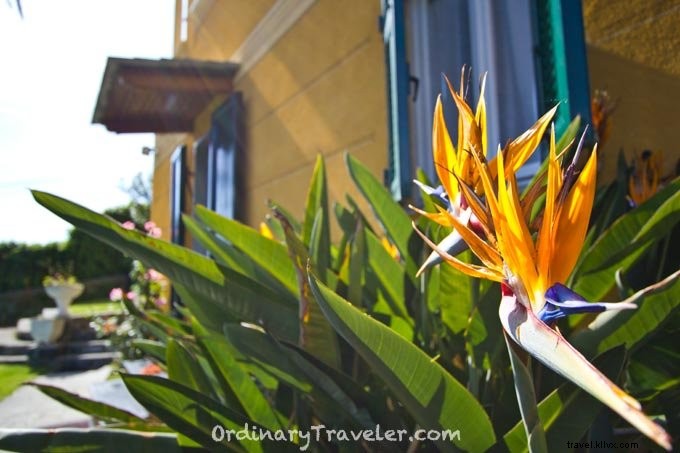 Villa Margherita B&B Review: Ideal Stay in Levanto, Gateway to Cinque Terre