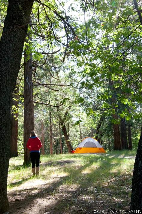 Best California Campgrounds: Top Spots and Essential Tips from a Local Expert