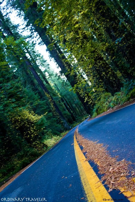 Best California Campgrounds: Top Spots and Essential Tips from a Local Expert