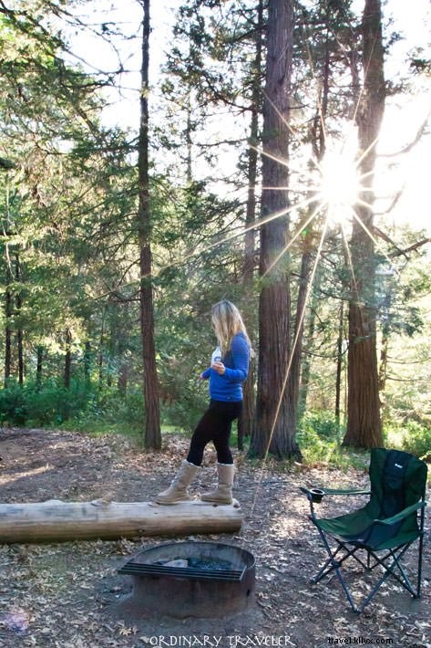 Best California Campgrounds: Top Spots and Essential Tips from a Local Expert