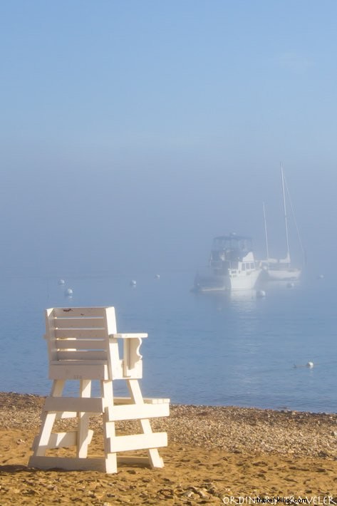 Best California Campgrounds: Top Spots and Essential Tips from a Local Expert