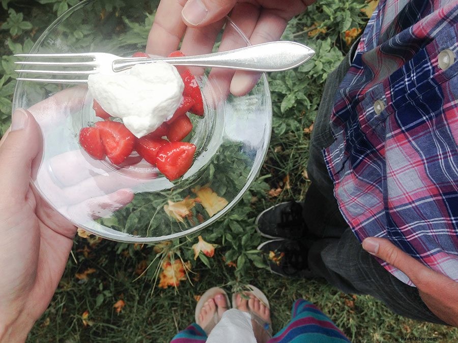 Top 10 Best Islands to Visit in West Sweden s Stunning Archipelago