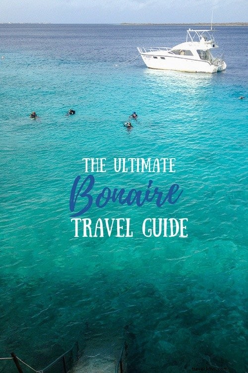 Ultimate Bonaire Travel Guide: Best Time to Visit, Top Activities & Essential Packing Tips