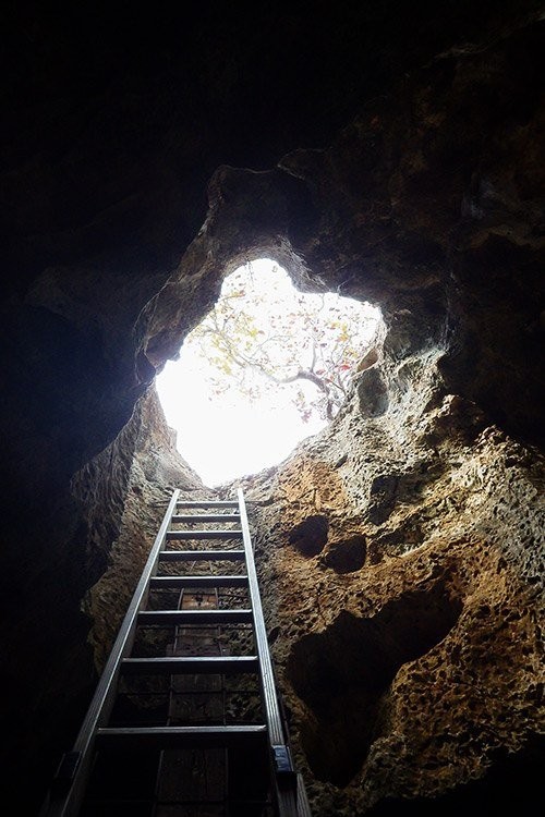 Ultimate Bonaire Travel Guide: Best Time to Visit, Top Activities & Essential Packing Tips