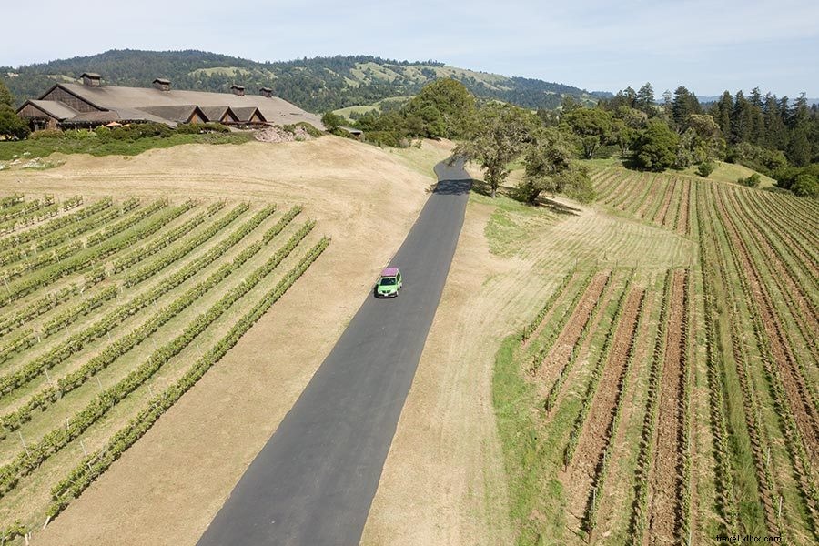 Ultimate Guide to Road Tripping California in a JUCY Campervan: Rentals, Tips & Essentials