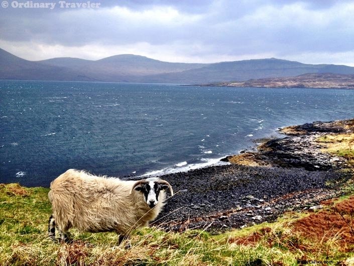 Ultimate Women s Packing List for Europe: Pack Light in Carry-On Only