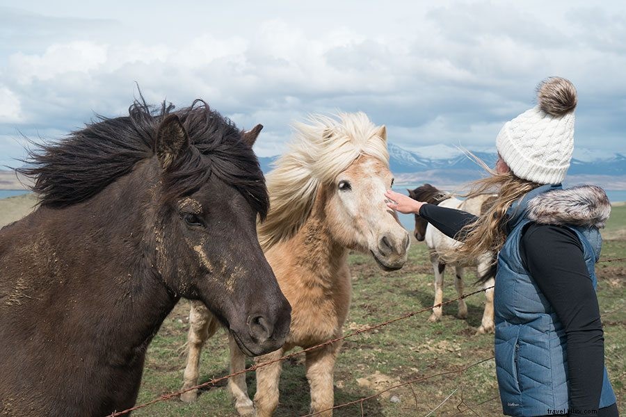 11 Must-Visit Places in Iceland: Top Attractions, Waterfalls, and Hidden Gems