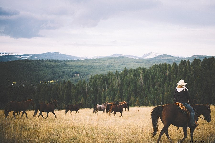 5 Authentic Western Experiences in Montana: Guest Ranches, Horseback Adventures & More