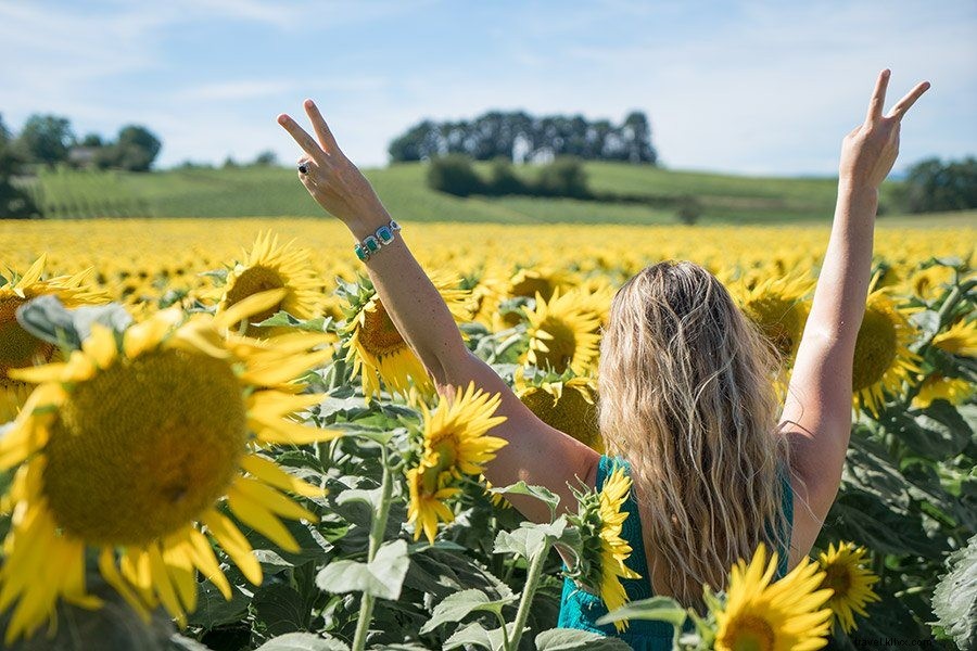 How to Travel Switzerland on a Budget: Expert Tips to Save Big