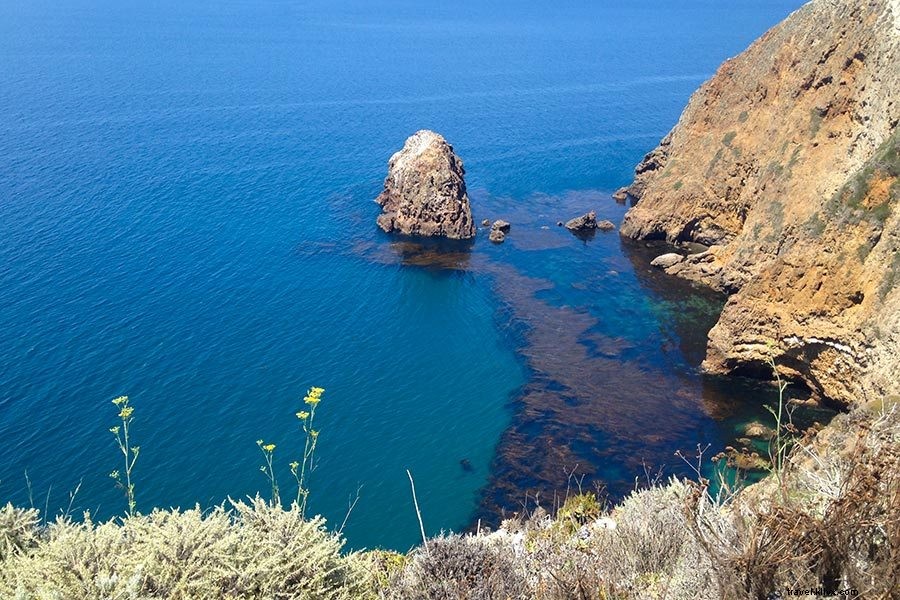 Top Photography Spots in California: Ultimate Guide to Stunning Locations