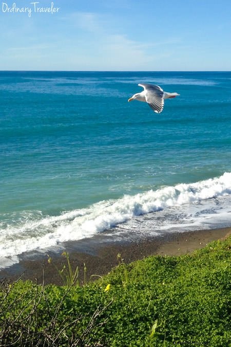 California s Central Coast Travel Guide: Best Towns, Stays, Eats & Hidden Gems