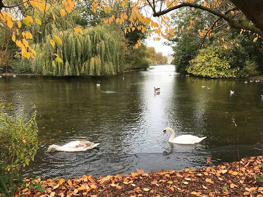 Discover London s Iconic Sights: A Luxury Stay at Sheraton Grand London Park Lane