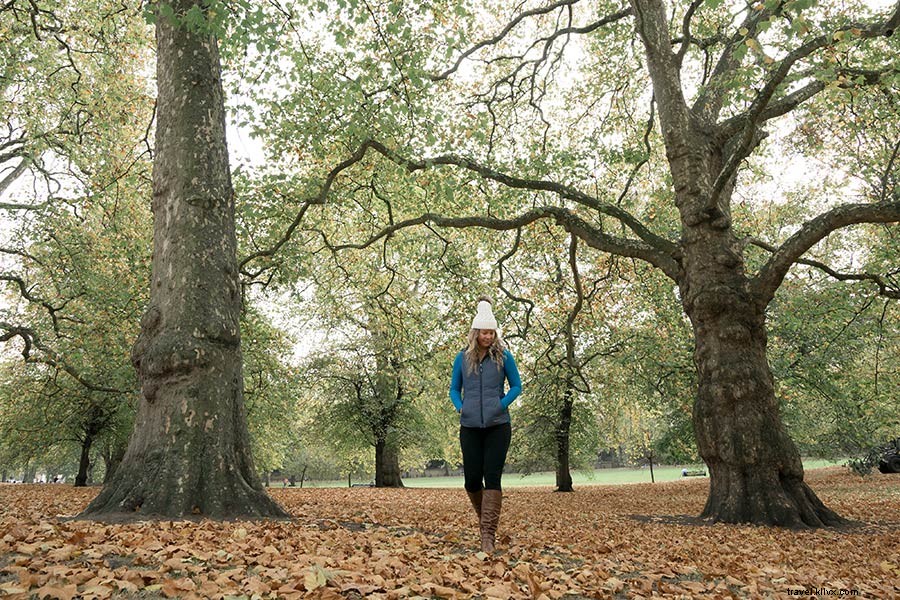 Discover London s Iconic Sights: A Luxury Stay at Sheraton Grand London Park Lane