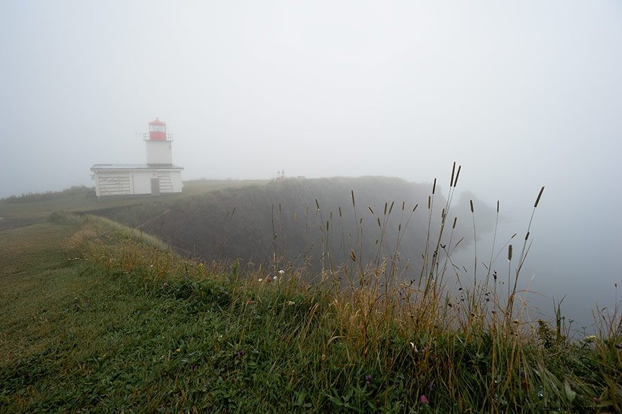 Ultimate Nova Scotia Road Trip Itinerary: Top Sights, Stays & Expert Tips