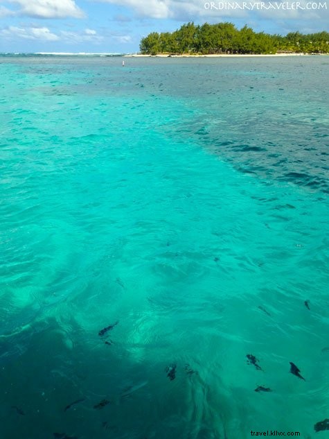 8 Compelling Reasons to Visit Mauritius: Pristine Beaches, Adventures, and Natural Wonders