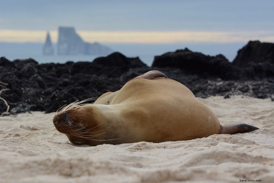 Expert Galapagos Islands Travel Tips: Insider Advice from a Seasoned Explorer