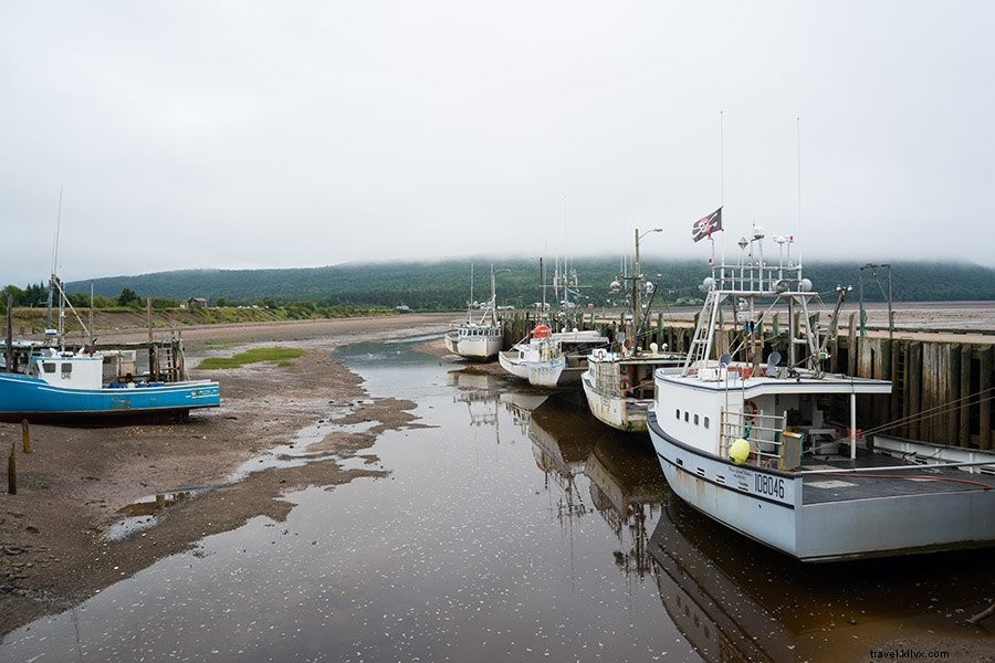 15 Must-Visit Places in Nova Scotia, Canada: Top Attractions and Best Places to Stay
