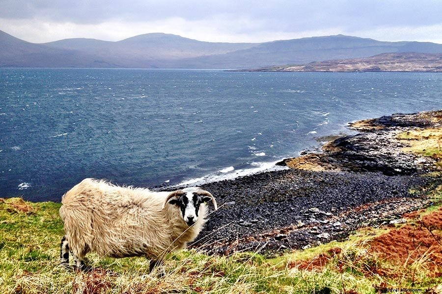 Ultimate Scotland Packing Guide: Essentials for Highlands, Lowlands & Every Season