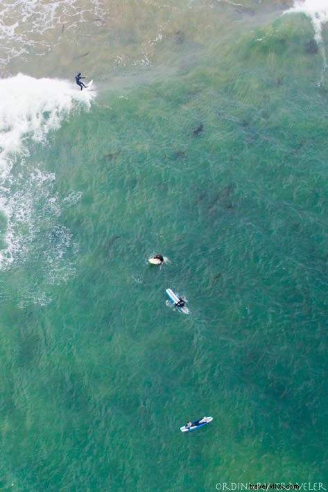 Top 10 Must-See Attractions and Activities on California s Central Coast – Insider Local Tips