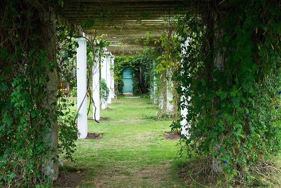 Ultimate Nevis Travel Guide: Best Time to Visit, Where to Stay, Top Activities & Packing Essentials