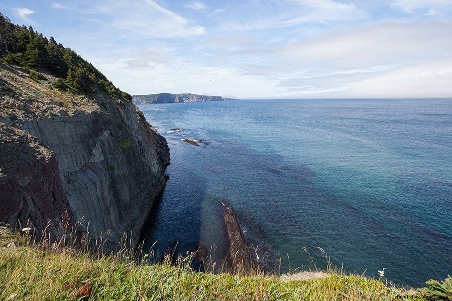 Ultimate Eastern Newfoundland Travel Guide: Top Activities, Stays, Dining & Packing Essentials