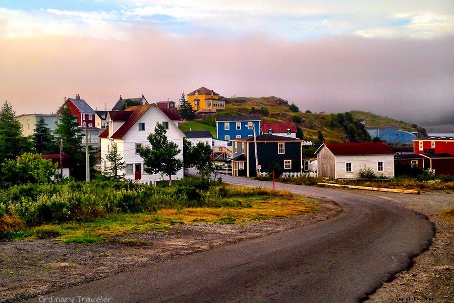 Ultimate Eastern Newfoundland Travel Guide: Top Activities, Stays, Dining & Packing Essentials