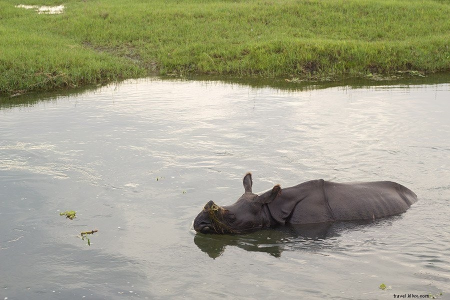 Comprehensive Nepal Travel Guide: Top Tips, Itineraries & Packing Essentials