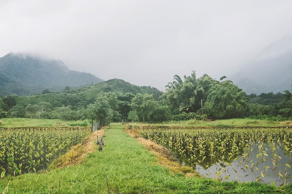 How to Visit Kauai on a Budget: Proven Tips from Seasoned Travelers