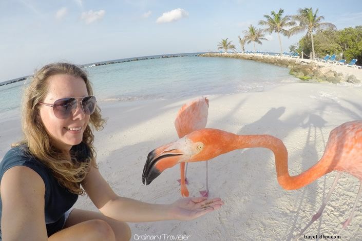 Ultimate Guide to Flying Internationally with Southwest Airlines: Destinations, Benefits & Essential Tips