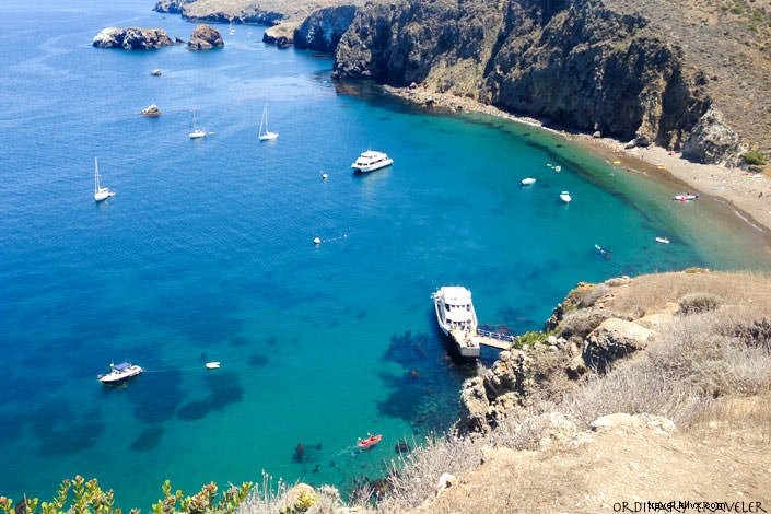 Ultimate Pacific Coast Highway Road Trip Guide: Best Stops, Hotels & Tips from San Diego to San Francisco