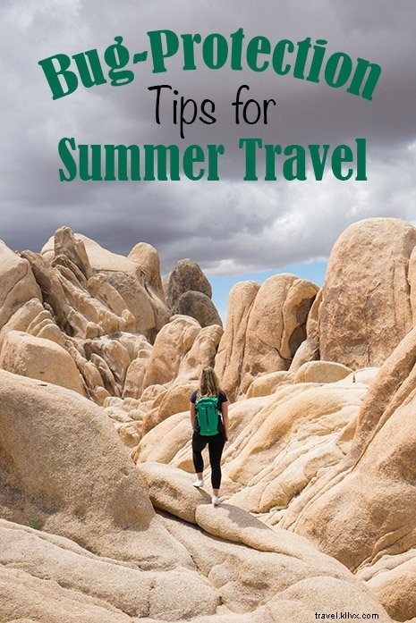 Essential Bug Protection Tips for Safe Summer Travel