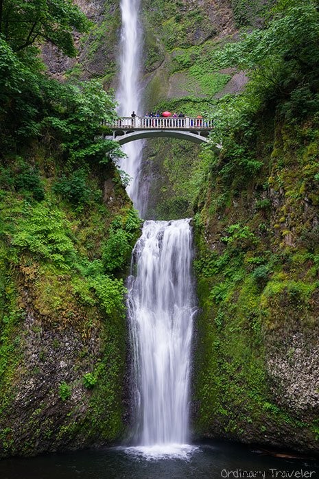 Essential Bug Protection Tips for Safe Summer Travel