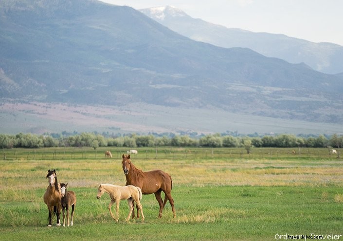 Ultimate Guide: Road Trip Through Utah s Mighty 5 National Parks