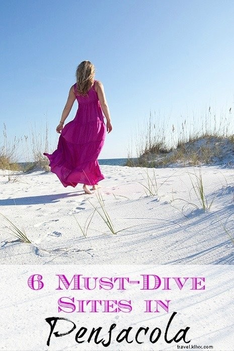 Top 6 Must-Dive Scuba Sites in Pensacola, Florida: Shipwrecks and Reefs