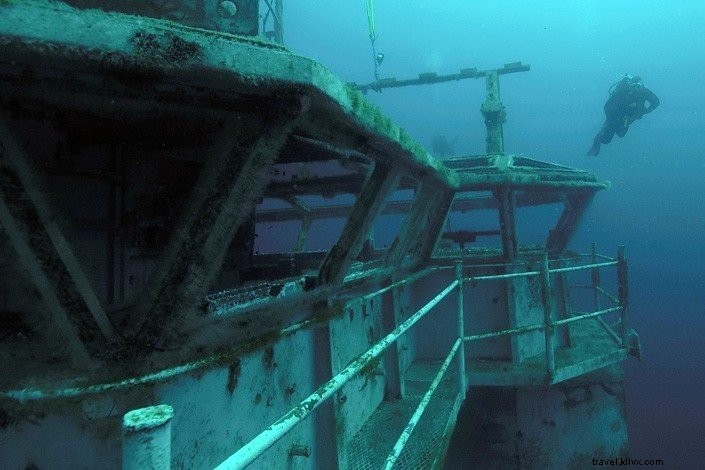 Top 6 Must-Dive Scuba Sites in Pensacola, Florida: Shipwrecks and Reefs