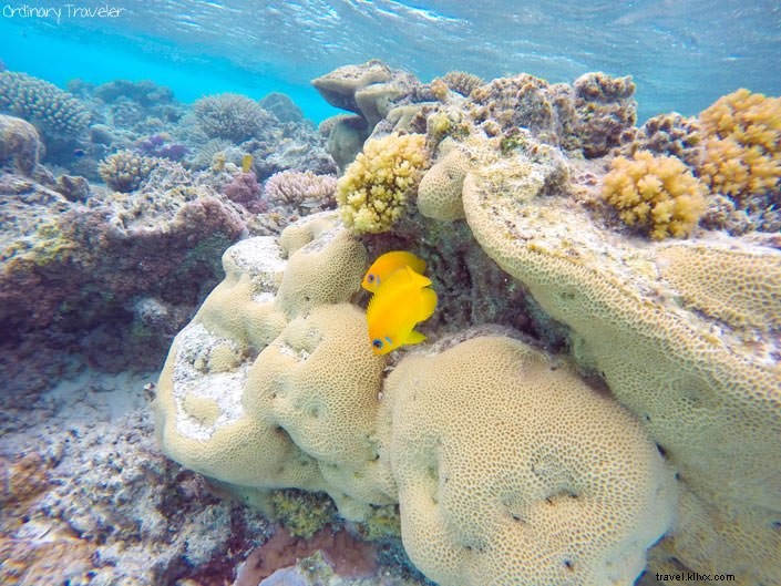 Ultimate Cook Islands Travel Guide: Insider Tips for Rarotonga, Aitutaki & Beyond