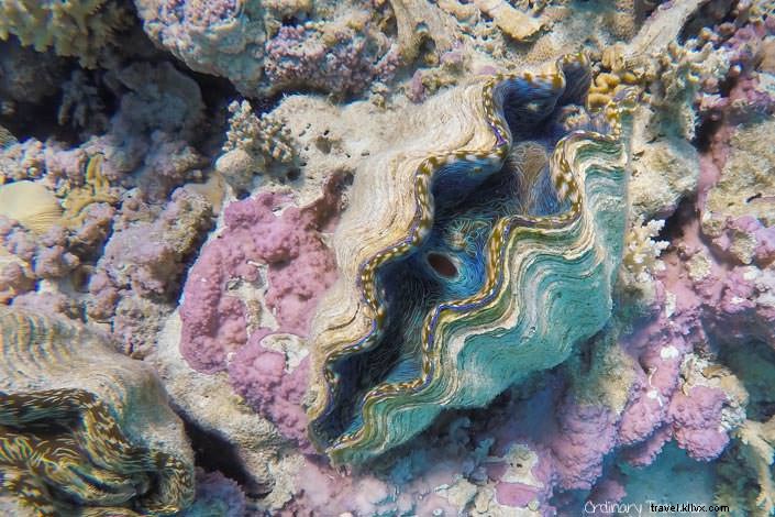 Ultimate Cook Islands Travel Guide: Insider Tips for Rarotonga, Aitutaki & Beyond