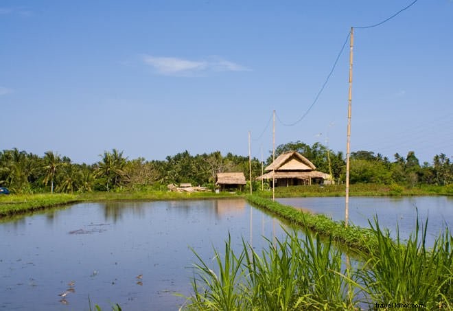 Ultimate Bali Travel Guide: Insider Tips on Surfing, Stays, Eats & Must-Do Activities