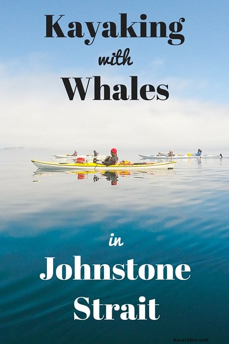 Ultimate Guide to Kayaking with Orcas in Johnstone Strait: Tips, Packing List & Itinerary