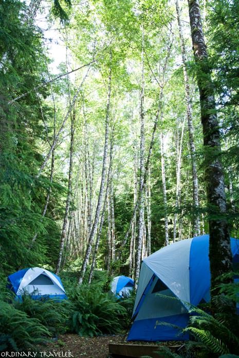 Ultimate Guide to Kayaking with Orcas in Johnstone Strait: Tips, Packing List & Itinerary