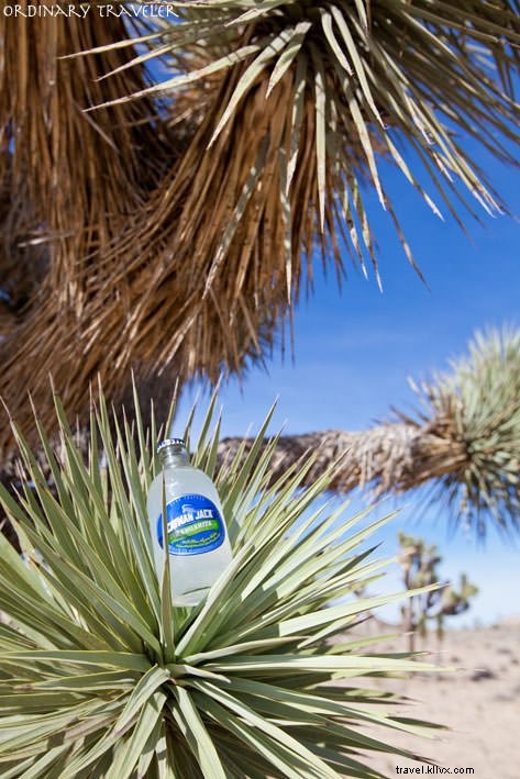 Summer Travel Highlights: Islands, Whales, Waterfalls & Adventures with Cayman Jack