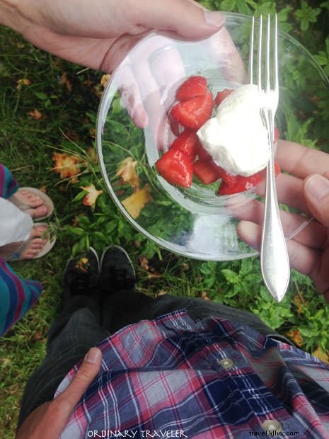 Island Hopping on Sweden s Bohuslän Coast: The Ultimate Road Trip Guide