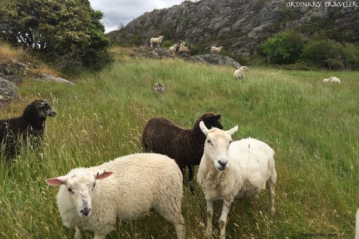 Island Hopping on Sweden s Bohuslän Coast: The Ultimate Road Trip Guide