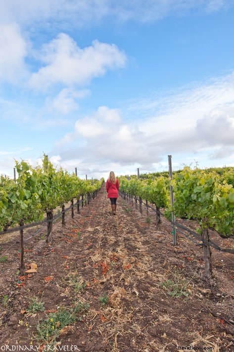 San Luis Obispo Travel Guide: Top Things to Do, Best Places to Eat & Stay