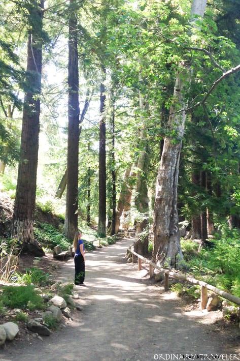 Top Things to Do in Santa Barbara: Insider Guide from a Local Enthusiast